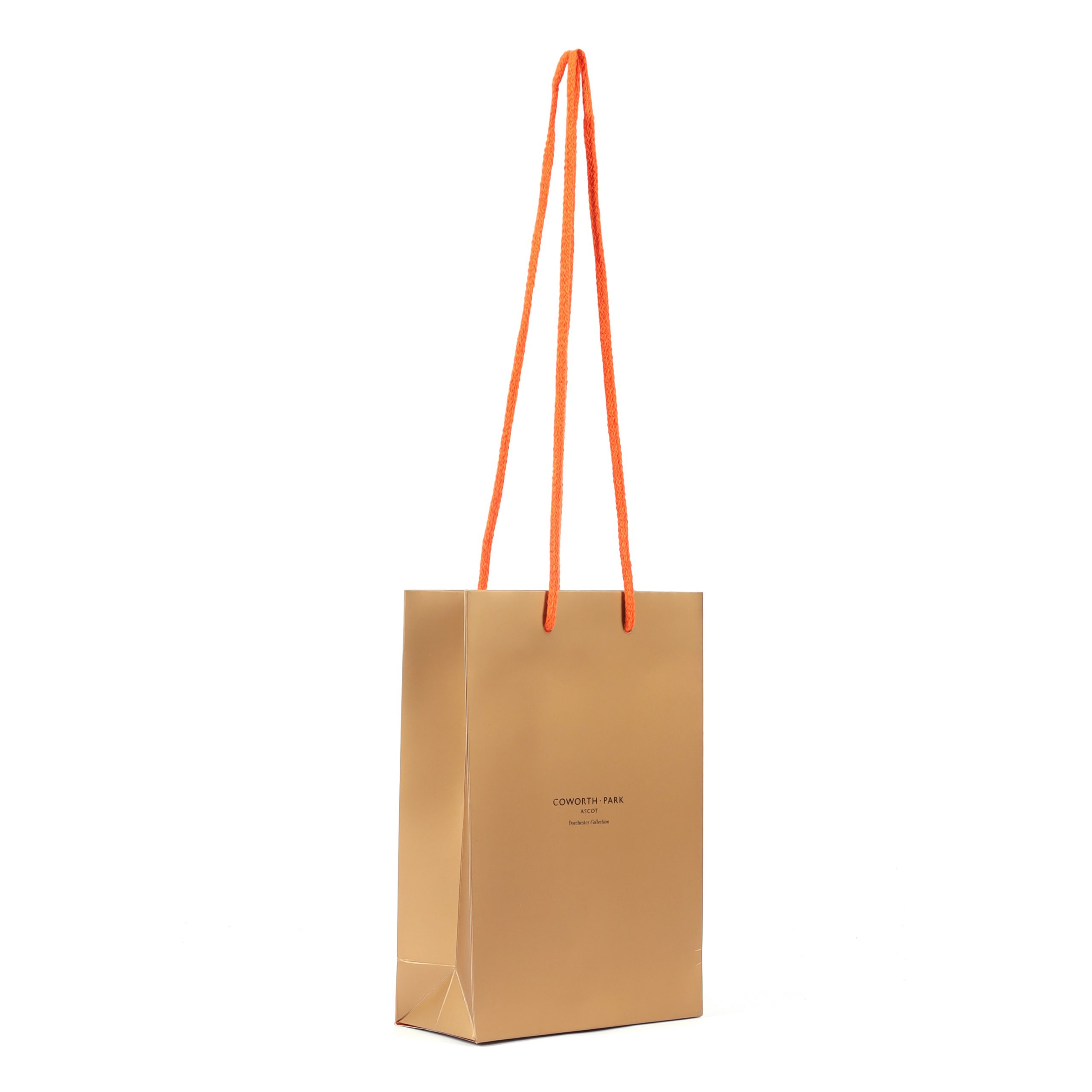 Paper Bag With Rope