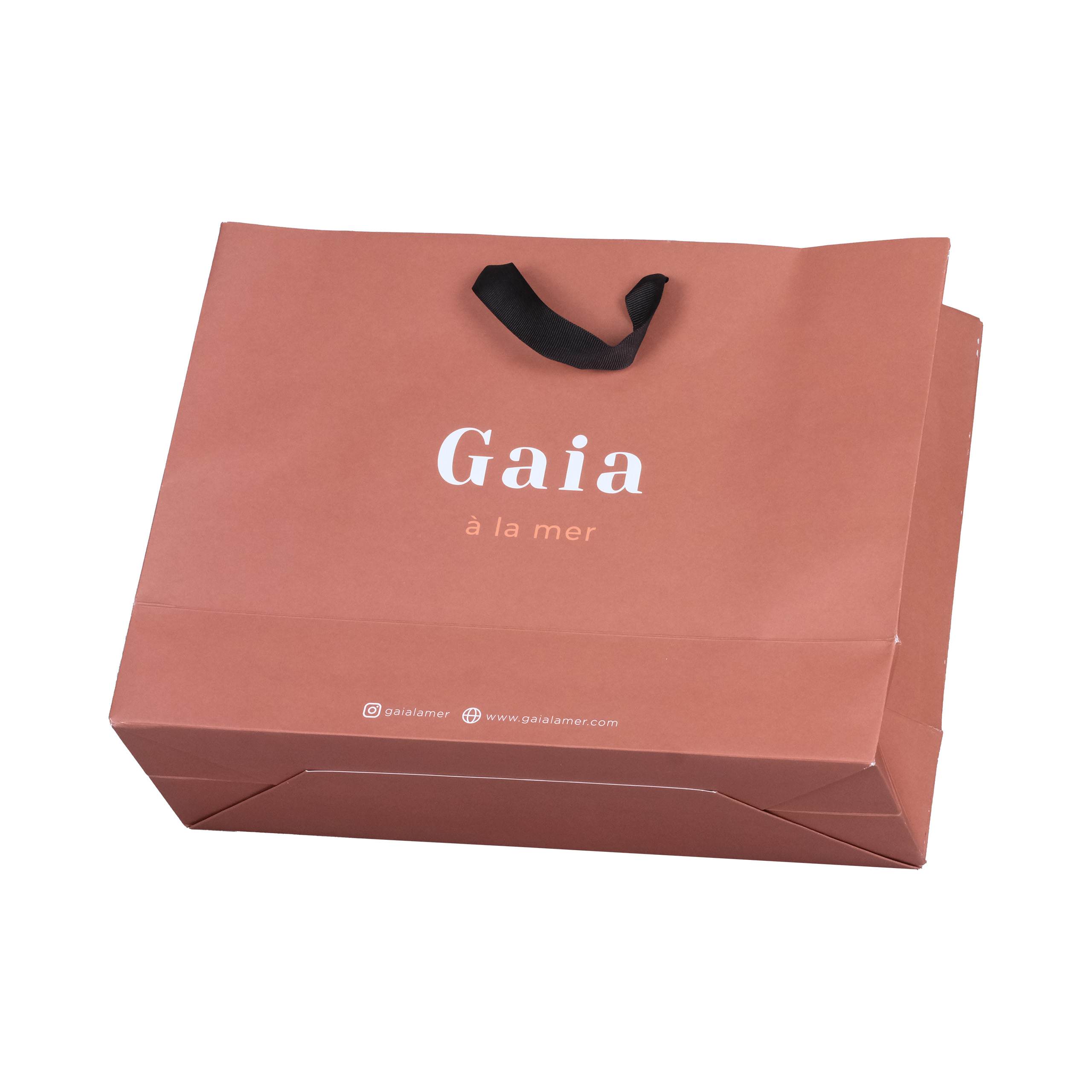 Ribbon Handle Gaia Paper Bag 2